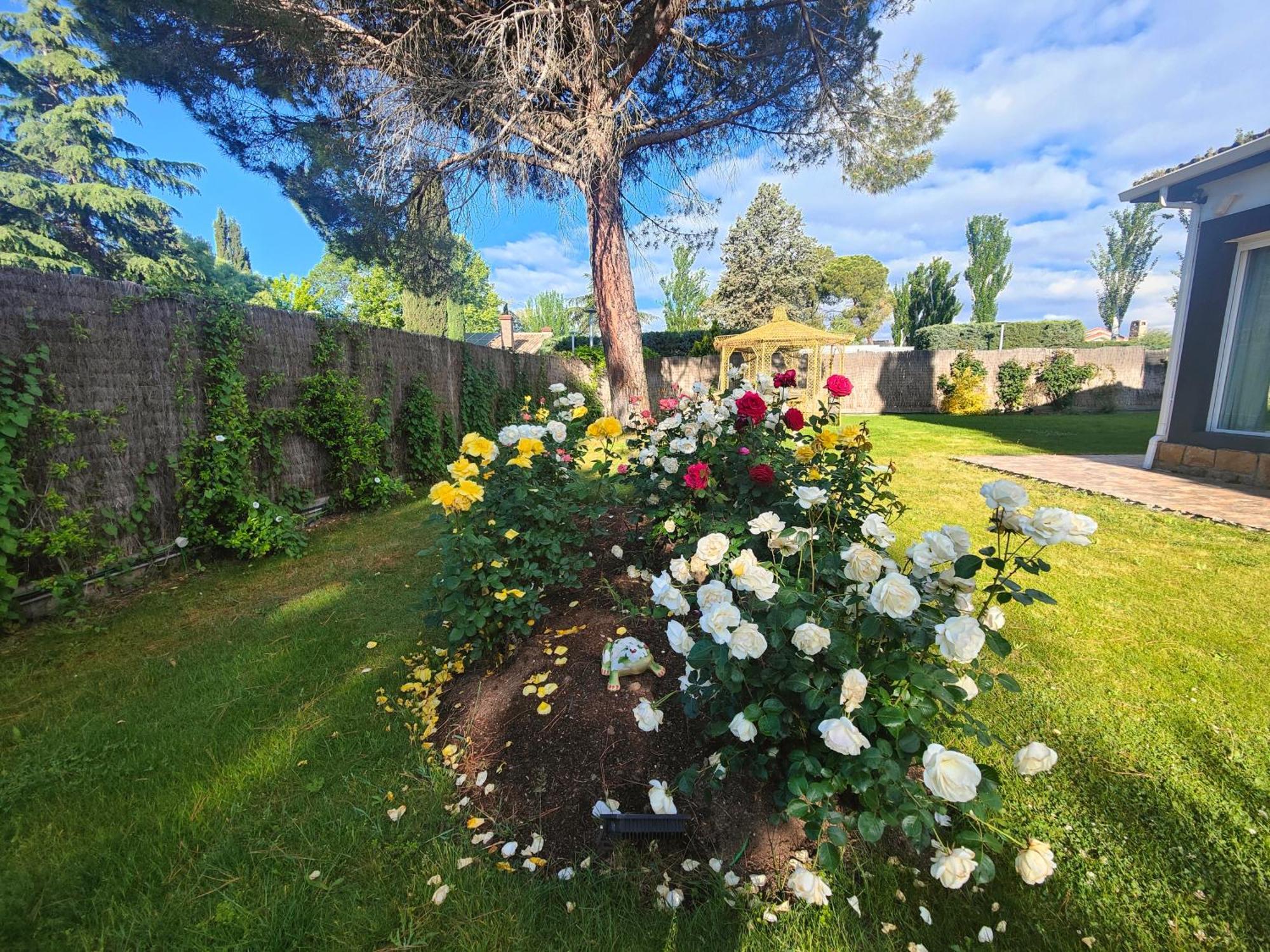 Chalet Con Piscina Y Jacuzzi En Madrid Alquila Habitaciones Algete Εξωτερικό φωτογραφία